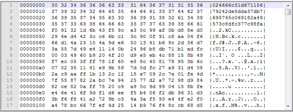 XORed PE binary