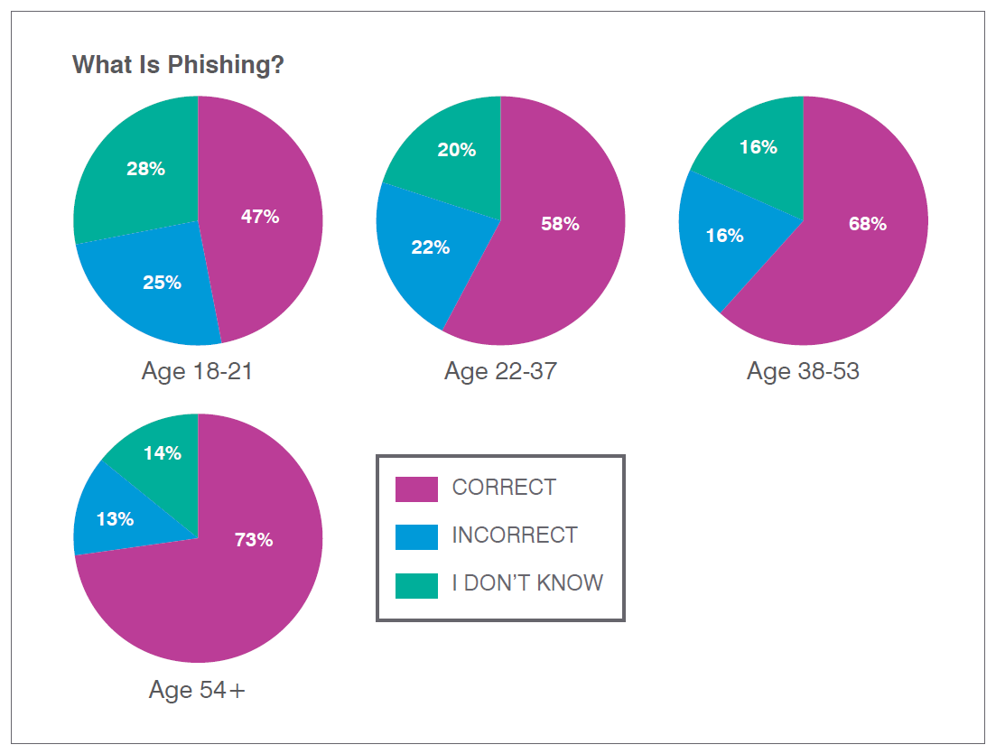 Pie charts reflecting 'what is phishing' by age group