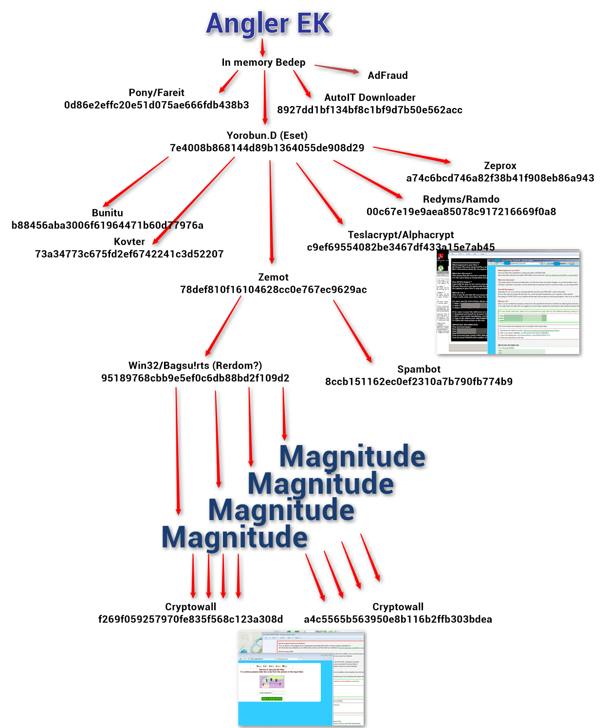 Observed infection chain diagram