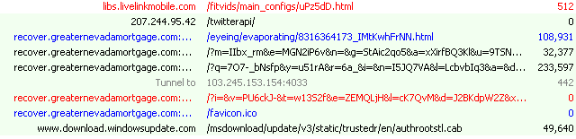 Summary showing sequence of all network requests