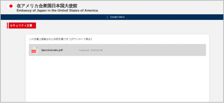 偽のPDFをホストするランディングページ