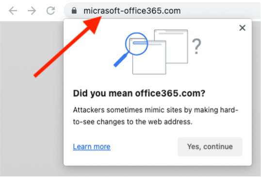 Web-browser nudge prompting user to double-check the URL