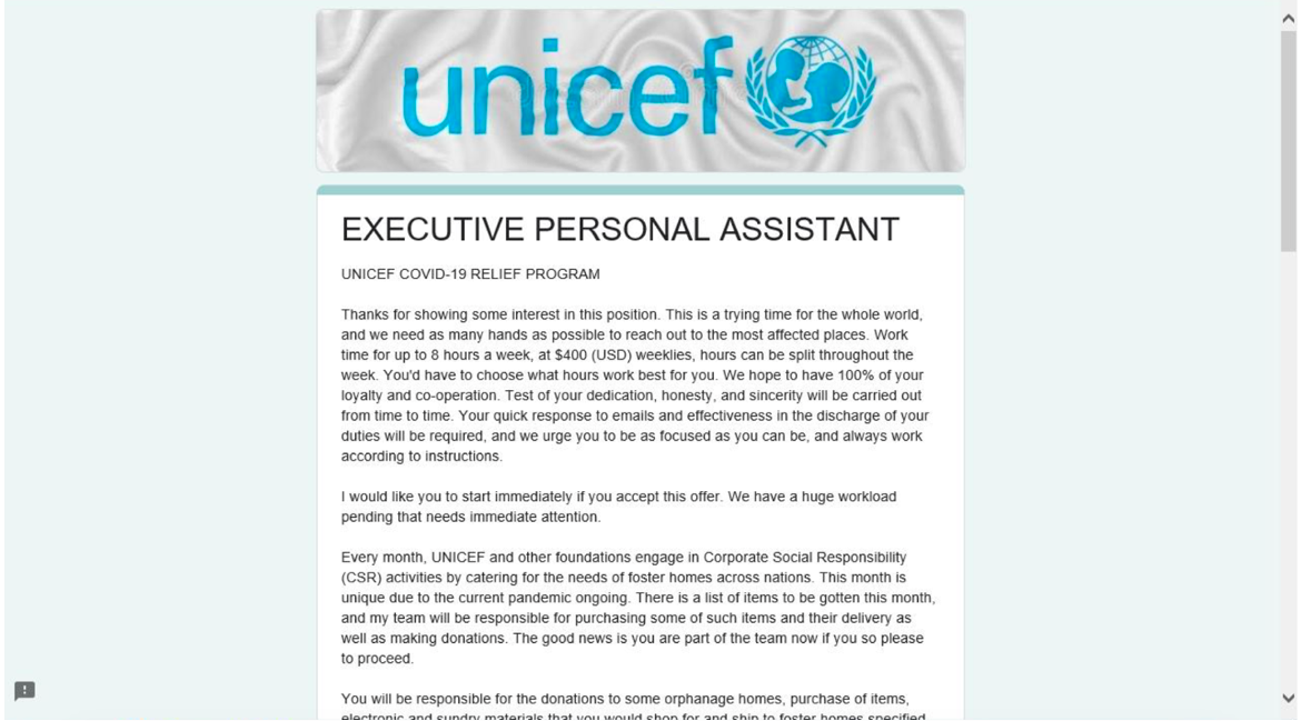 Fake UNICEF job description