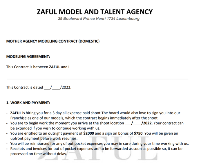Fake Zaful modeling contract.
