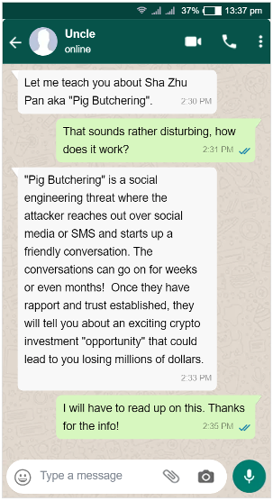 WhatsApp text exchange discussing the pig butchering crypto scam