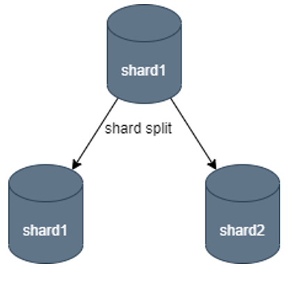 shard splitting