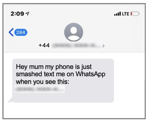 Example of a texting scam sent by attackers