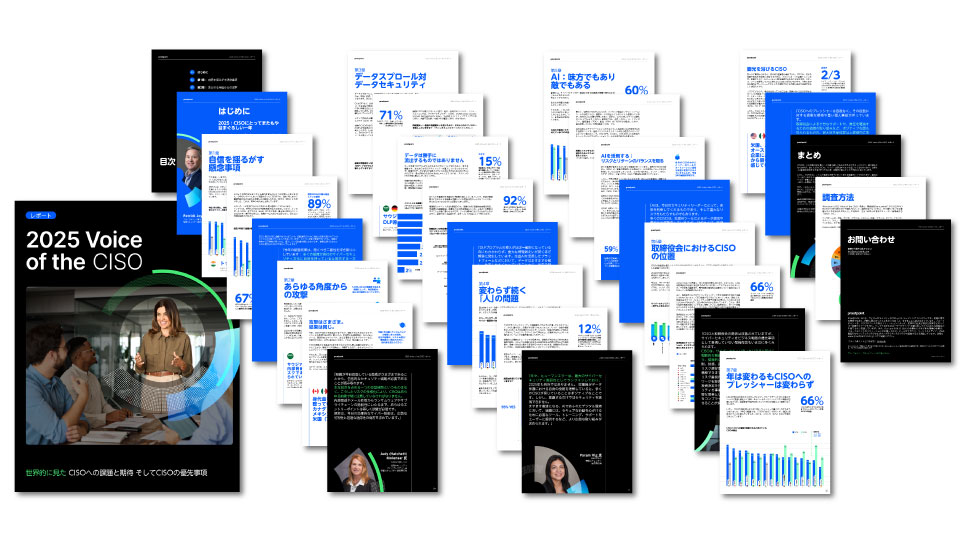 2025 Voice of The CISO