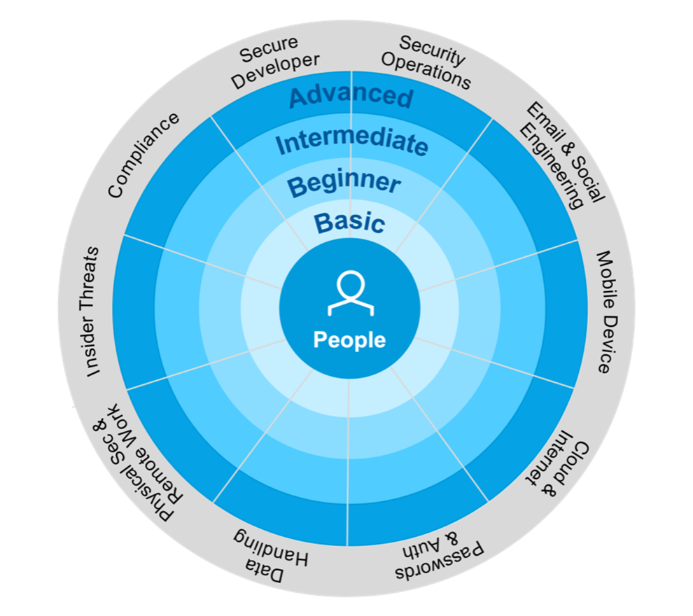 Adaptive Learning Framework’s eight foundational domains, two role-based domains, and four levels of understanding.