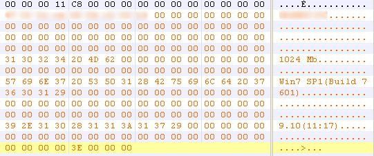 coded Netbot Network Beacon from PlugX Campaign