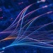 How to Prevent Business Email Compromise (BEC) Attacks