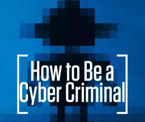 Cyber Criminal