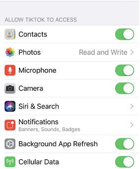 TikTok permissions show on an iPhone